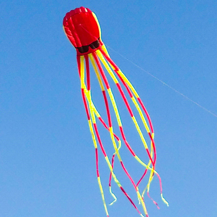 3D Three-Dimensional Software Large Octopus Kite