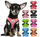 Cat Dog Pet Harness Adjustable Control Vest Dogs Reflective S M L XL Leash