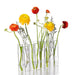 Clear Glass Vase Tubes Set Hanging Flower Holder Plant Container Flower Vases for Homes Room Decor